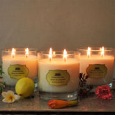 Trio of Elegance Bundle